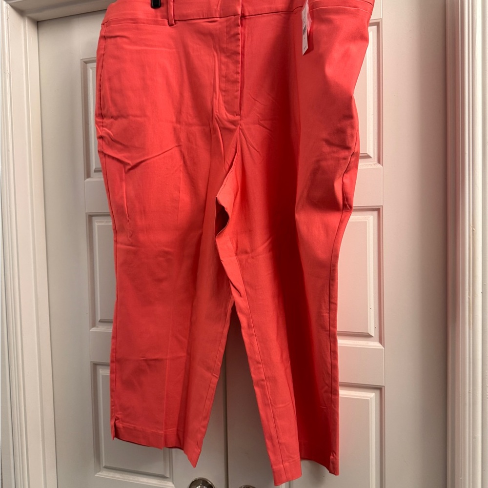 Lane Bryant Coral Capris